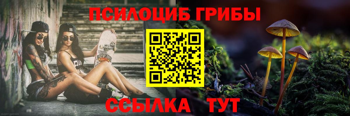 Псилоцибиновые грибы ЛСД Переславль-Залесский
